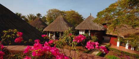 Thatched-roof huts with a garden area featuring pink flowers.