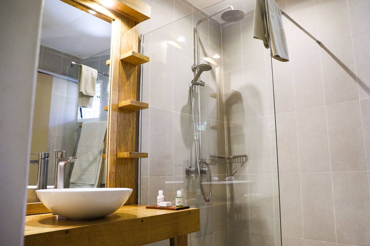 shower, free toiletries, hair dryer, slippers