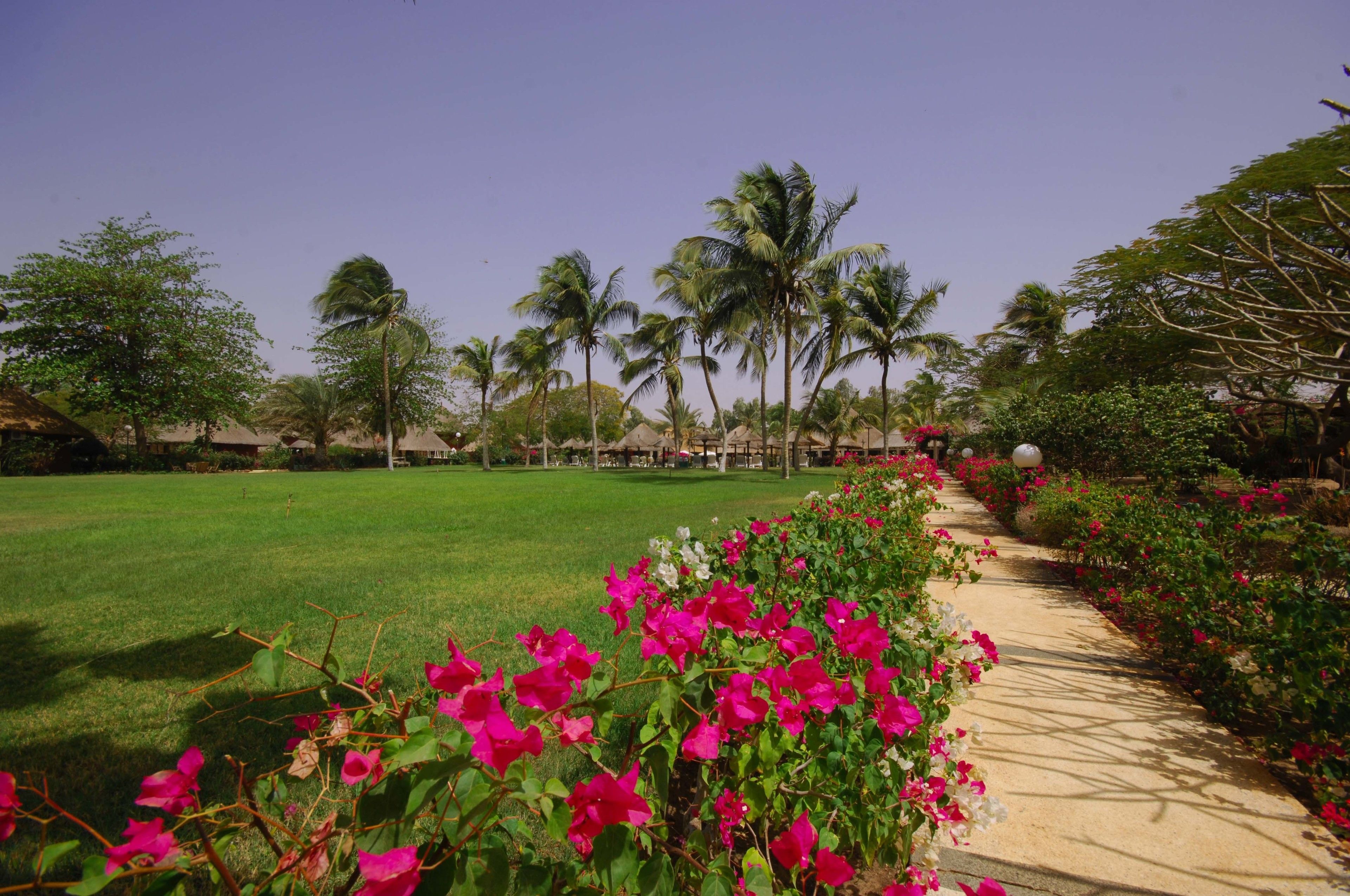 A pathway lined with vibrant flowers leading to a building with a thatched roof.