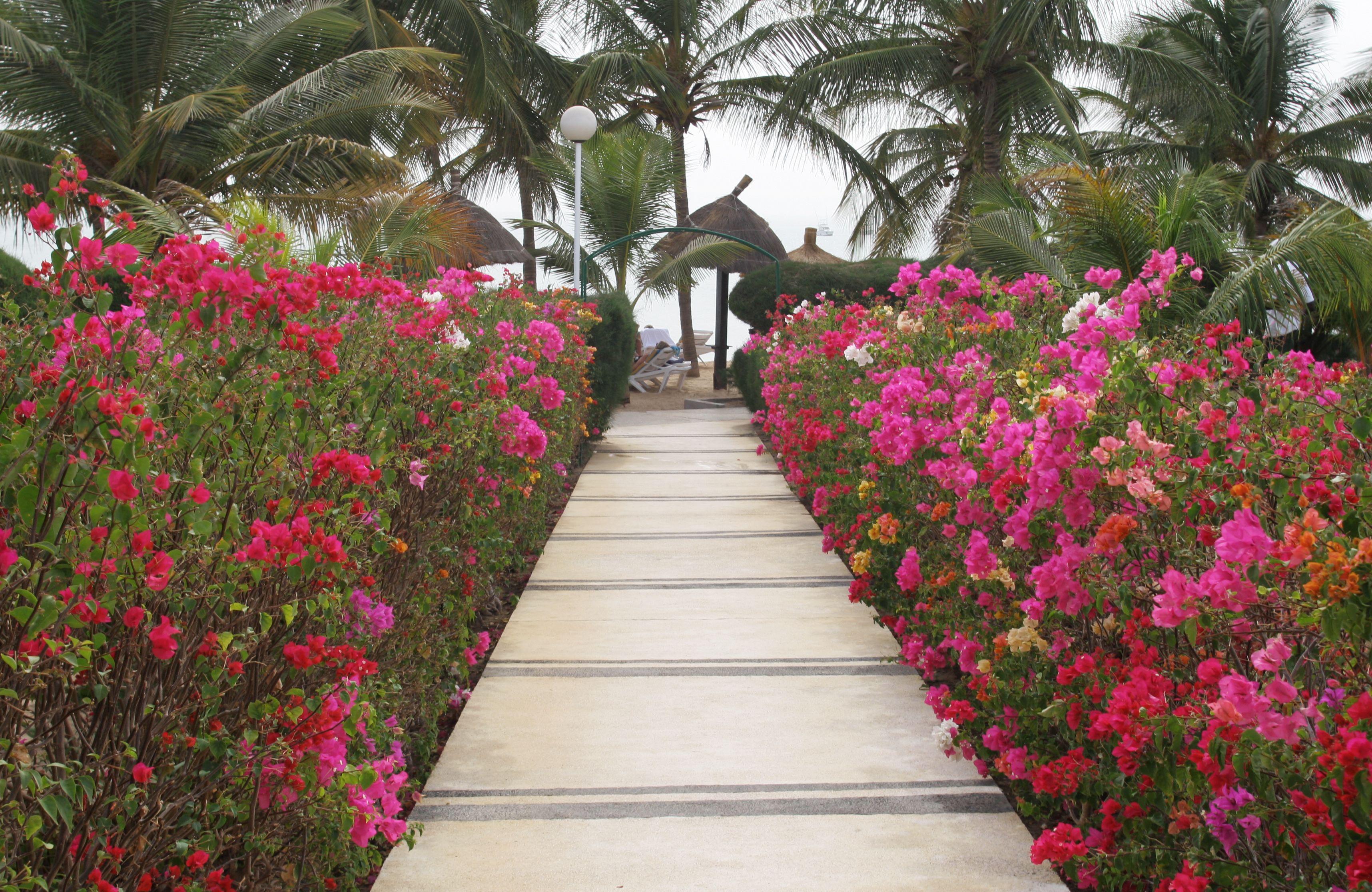Vista desde la propiedad
