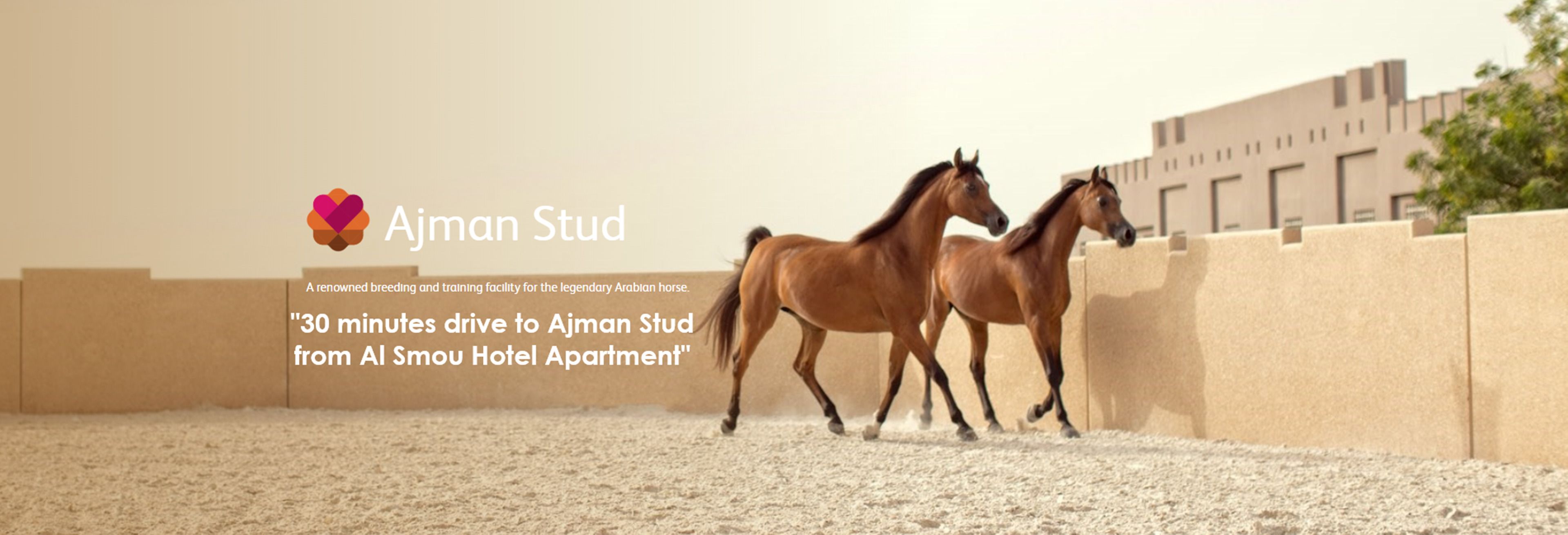 Foto - Al Smou Hotel Apartments - MAHA HOSPITALITY GROUP