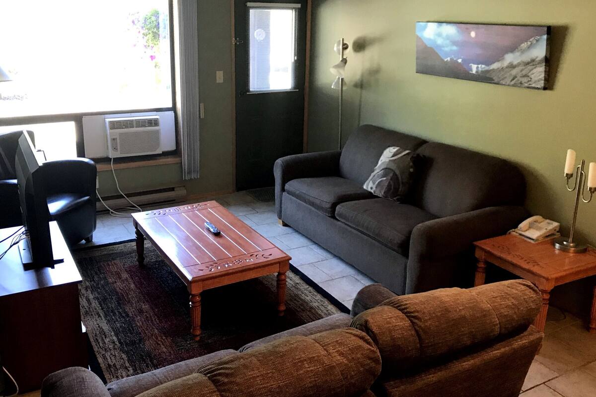 Un salon avec un canapé, une table basse, un téléviseur et un tableau accroché au mur.
