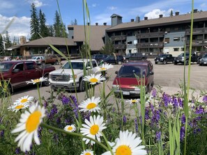 Exterior detail - The Griz Inn (Fernie)