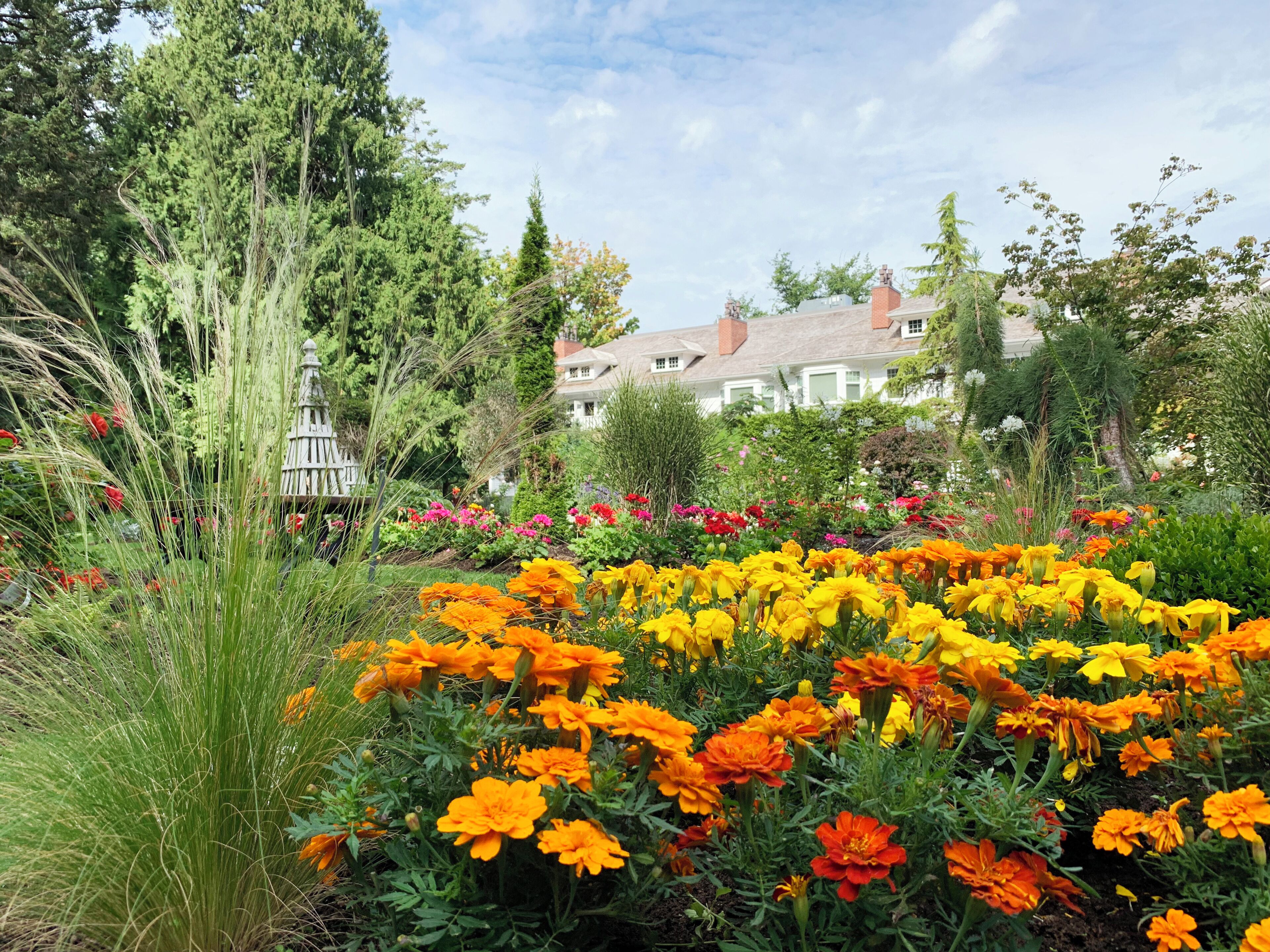 A garden with vibrant flowers and a house in the background.