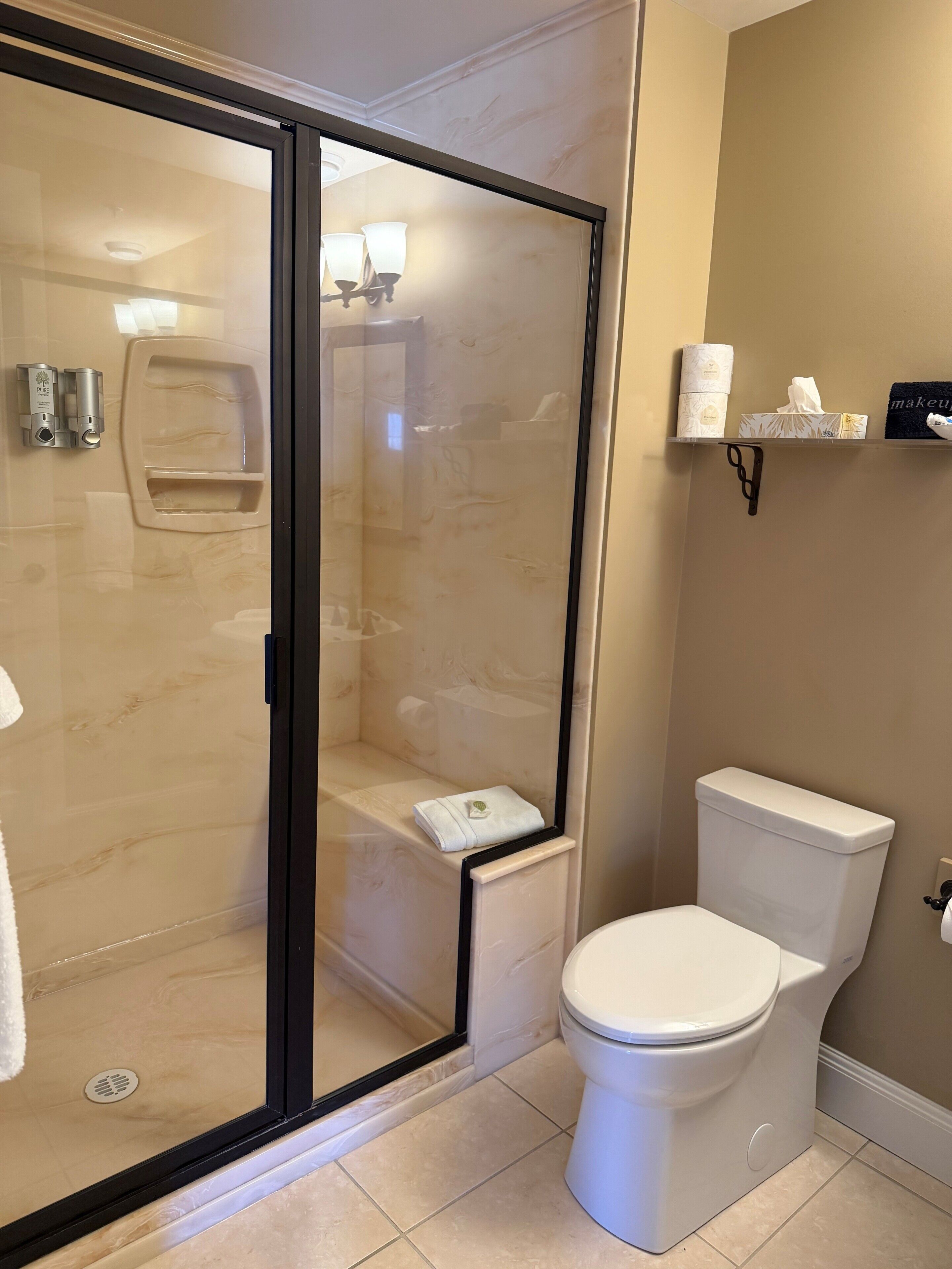 A bathroom with a glass-enclosed shower, a toilet, and a shelf with toiletries.