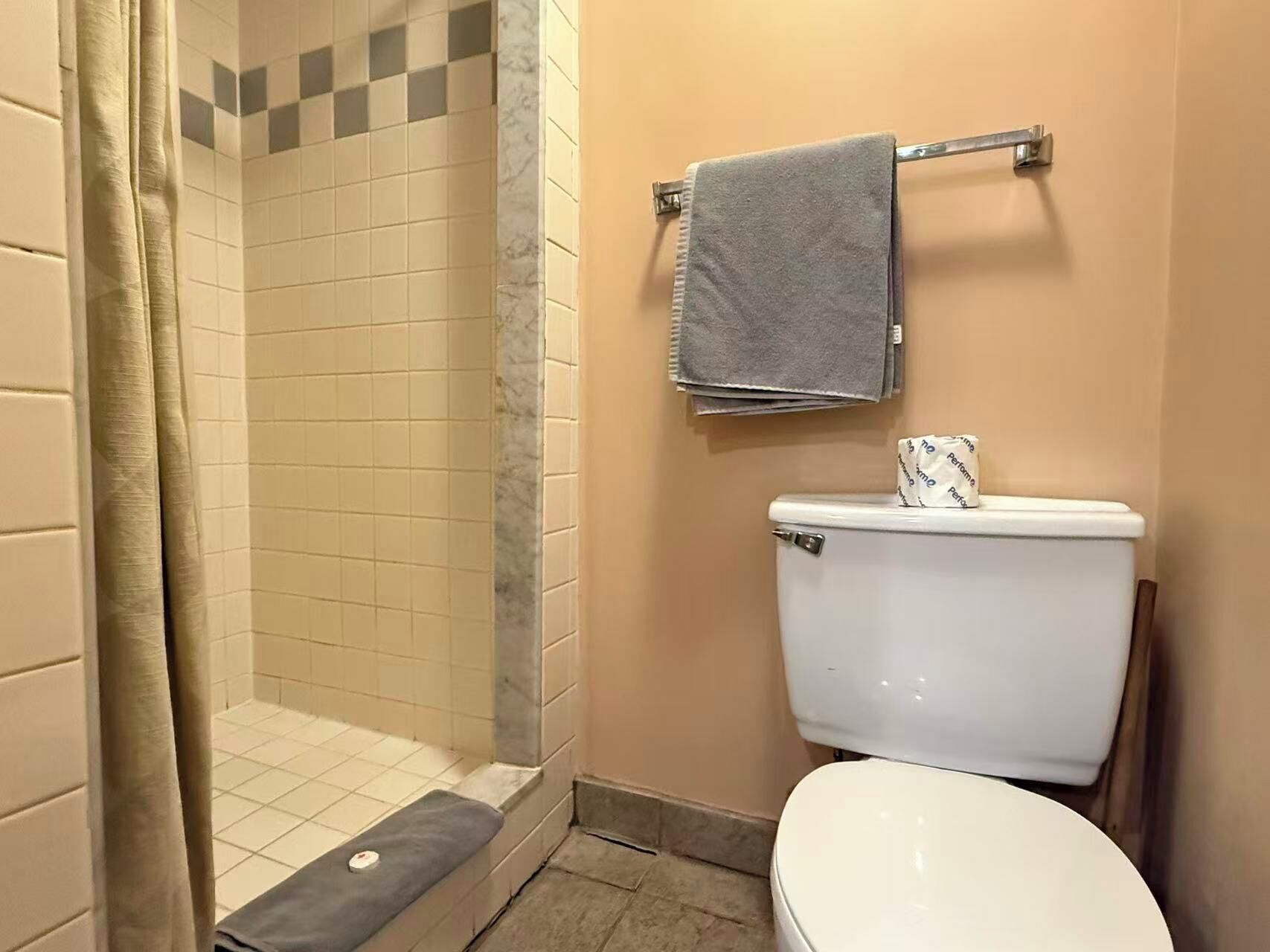 Een badkamer met douche, toilet en handdoekhouder.