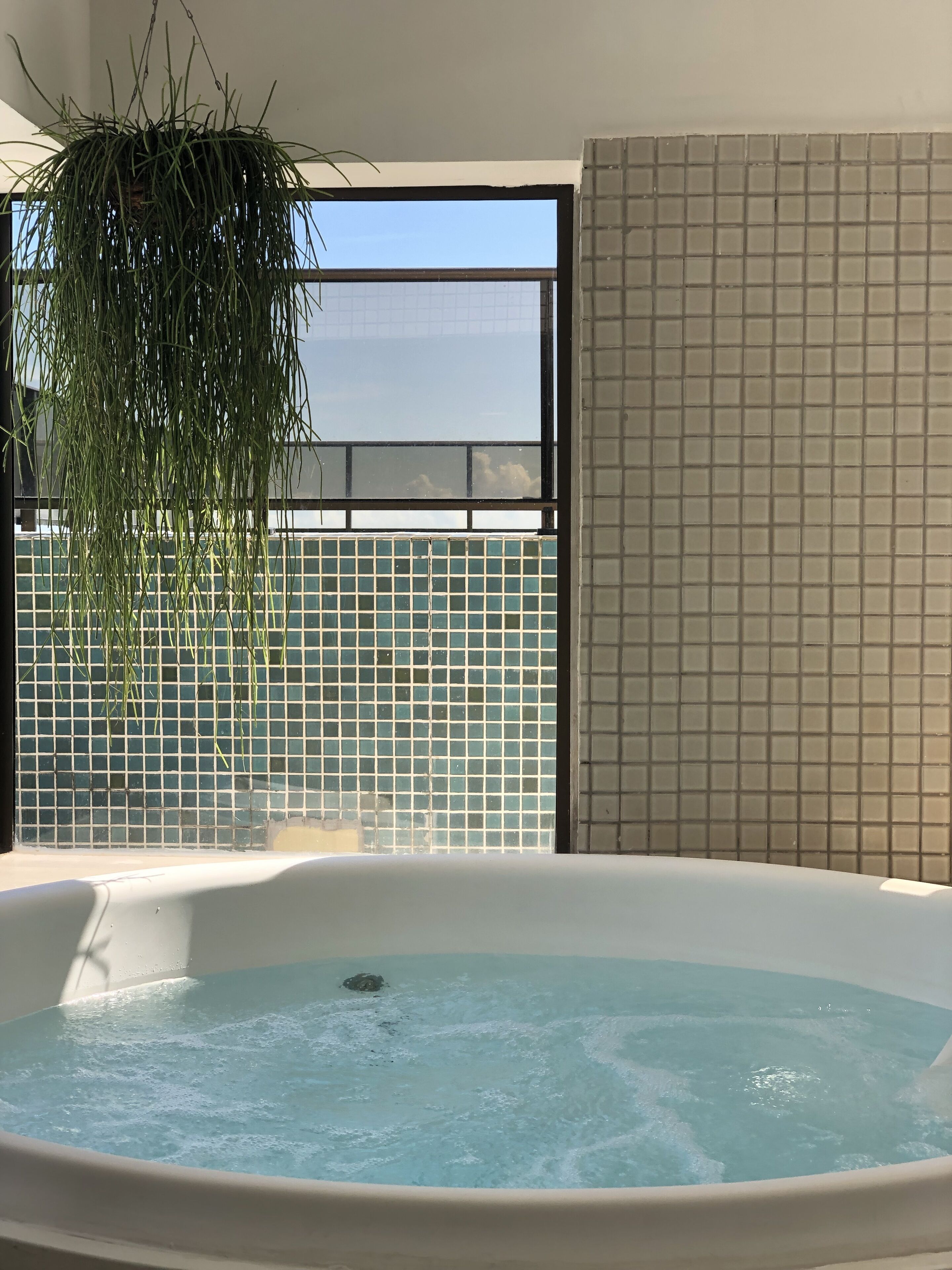 Un bain à remous avec vue sur un mur carrelé et une plante suspendue.