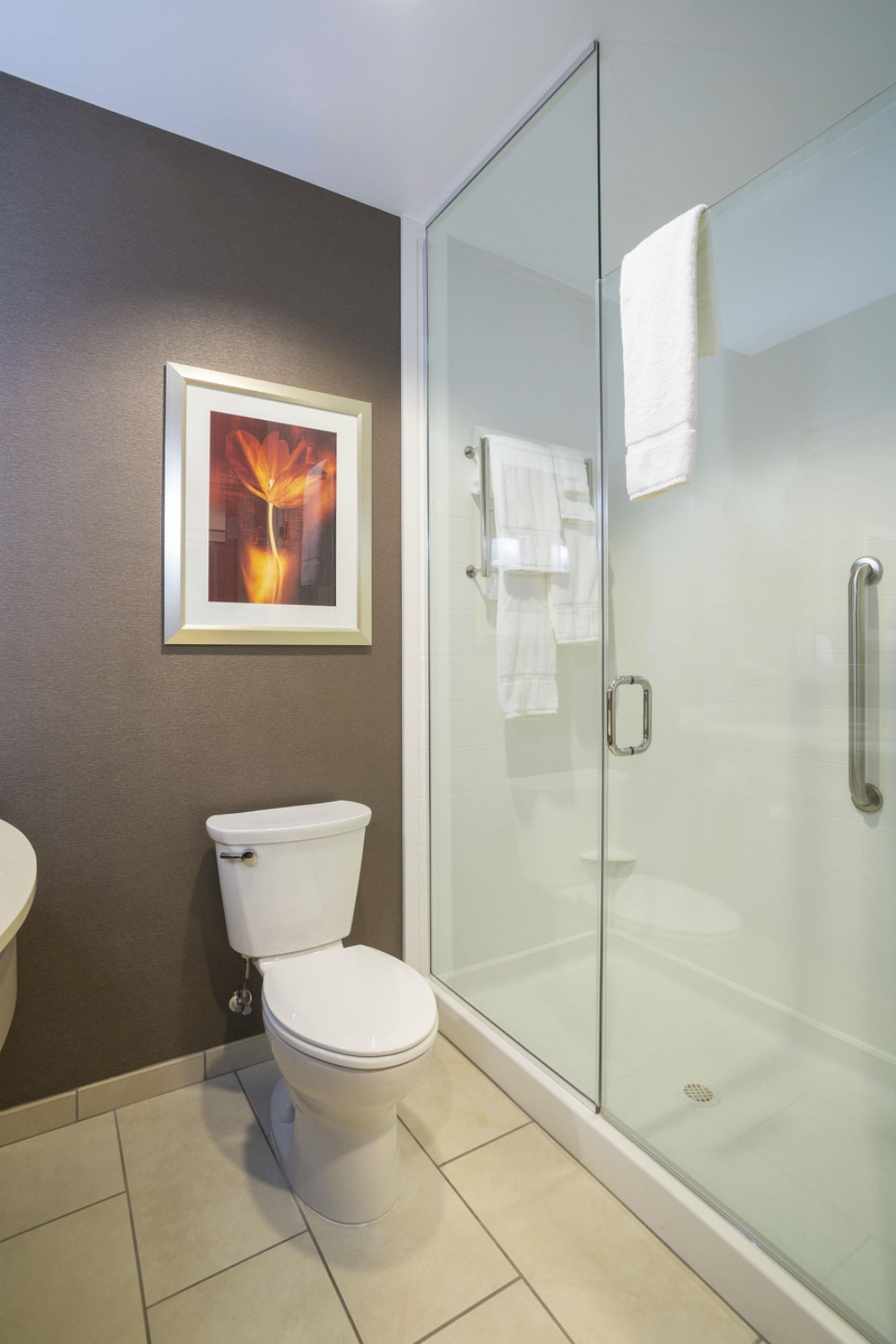 A bathroom with a toilet, a framed picture on the wall, and a glass shower enclosure.