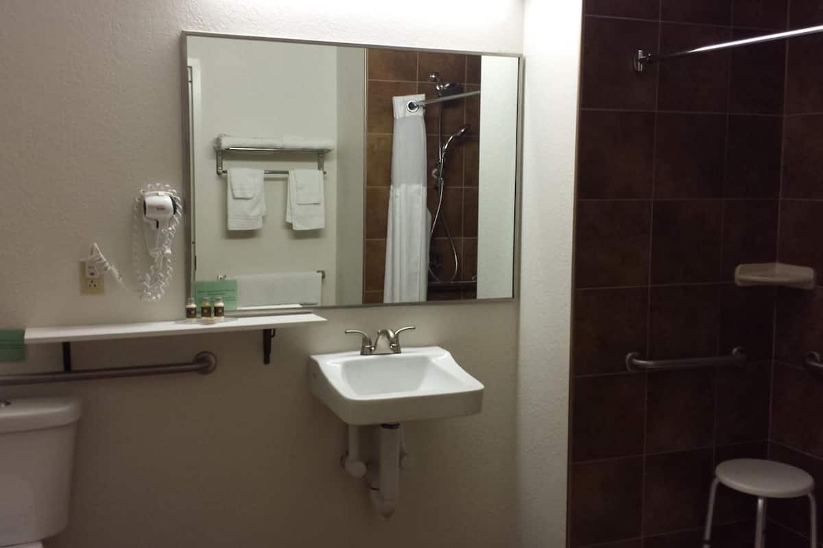 Habitación estándar | Baño | Amenidades de baño de diseñador, secadora de cabello, toallas