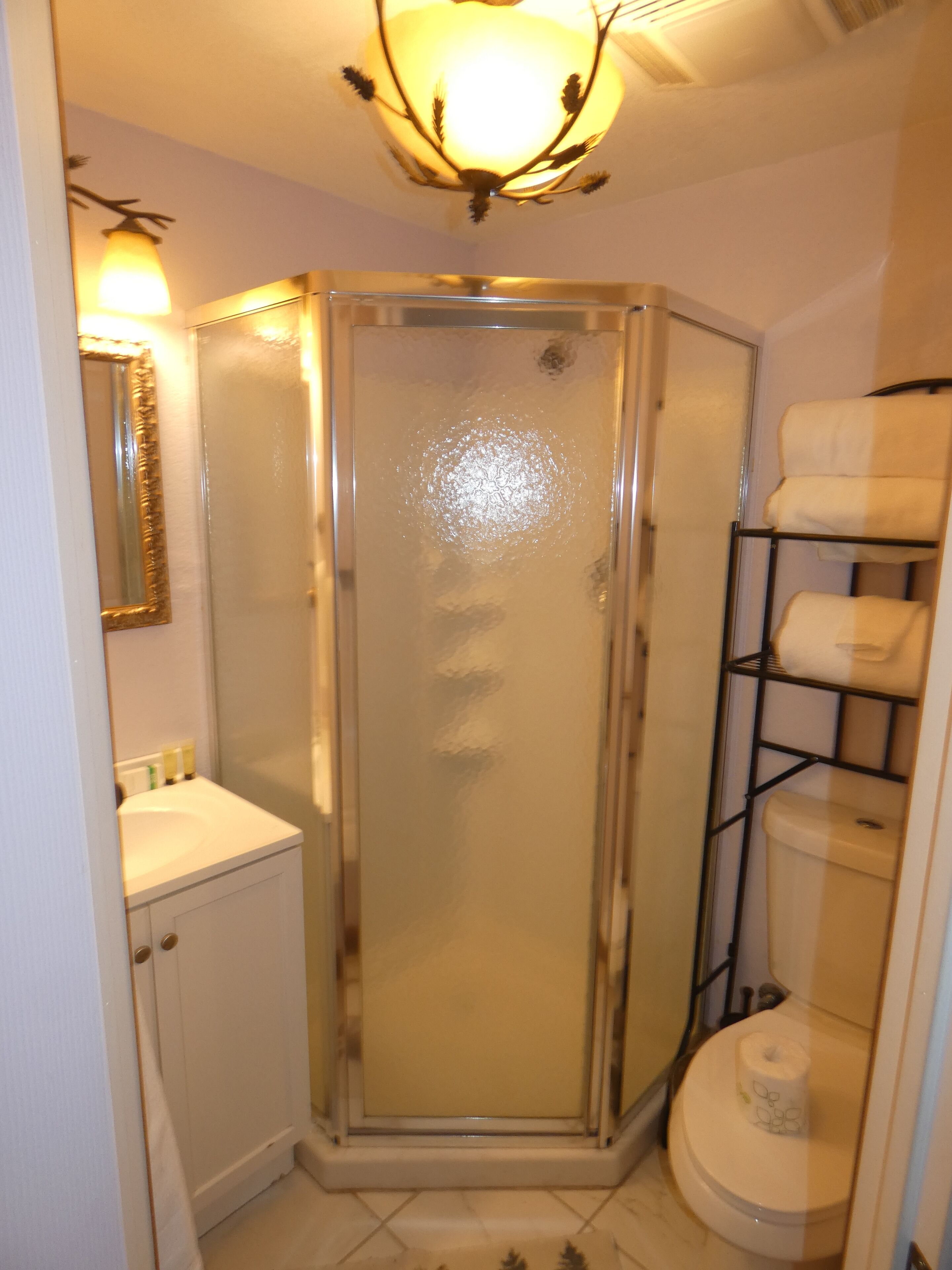 A bathroom with a glass-enclosed shower, a toilet with a paper towel holder, a sink, and a mirror with a gold frame.