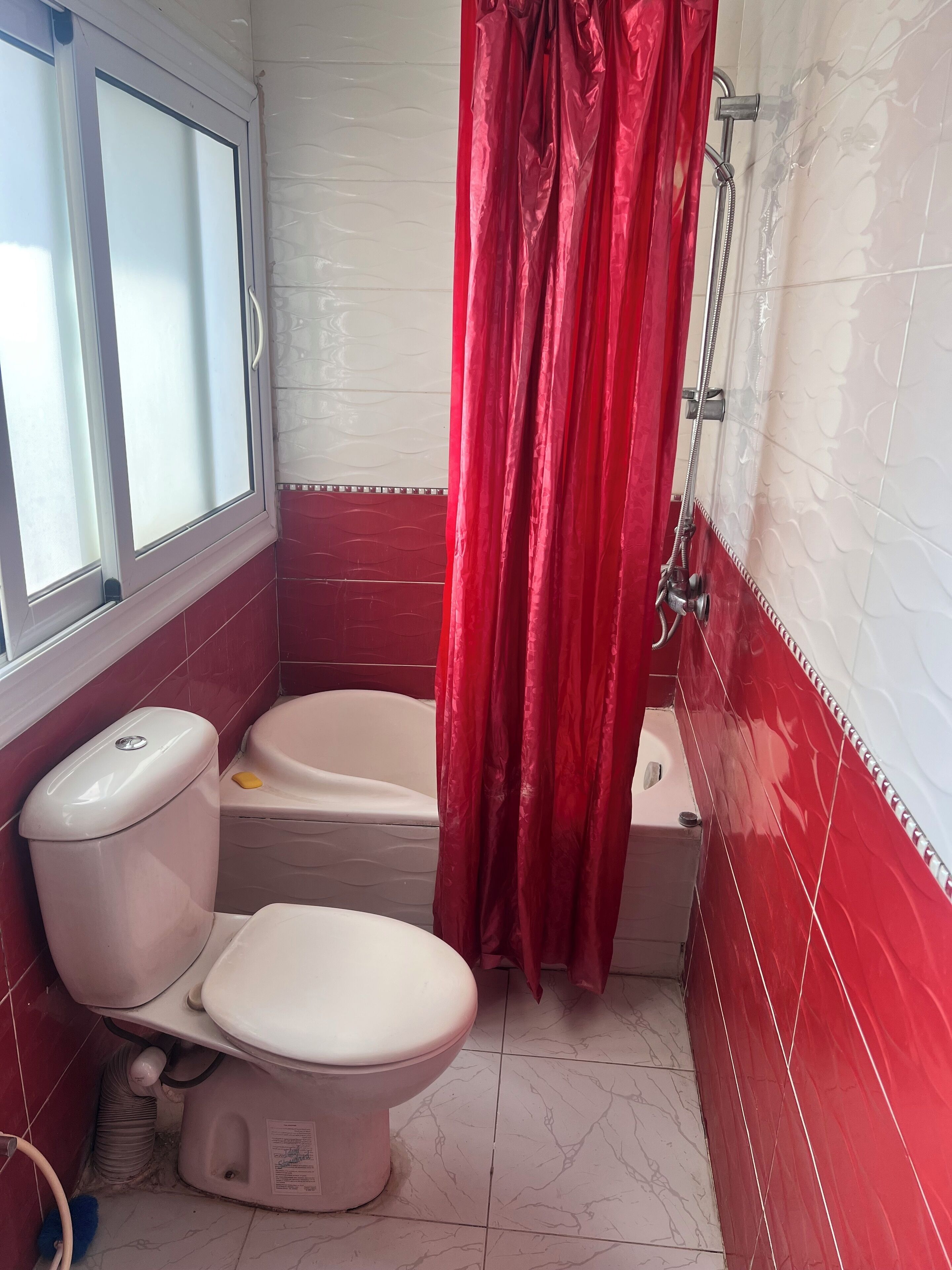 A bathroom with a toilet, bidet, and shower.