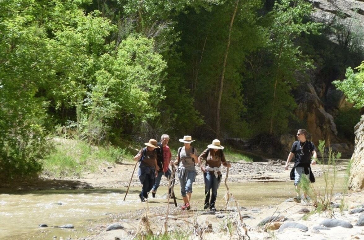 A group of people walking along a riverbank surrounded by greenery.