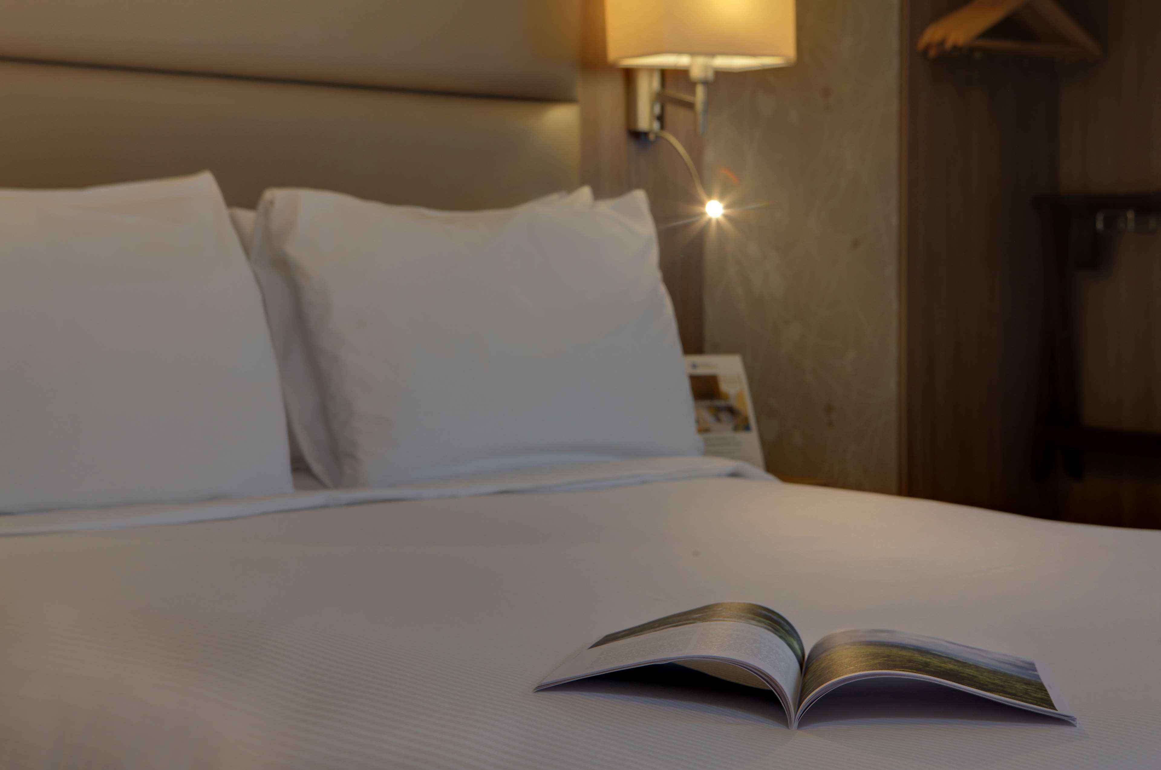 standard room, 1 double bed, non smoking | 1 bedroom, desk, laptop workspace, iron/ironing board