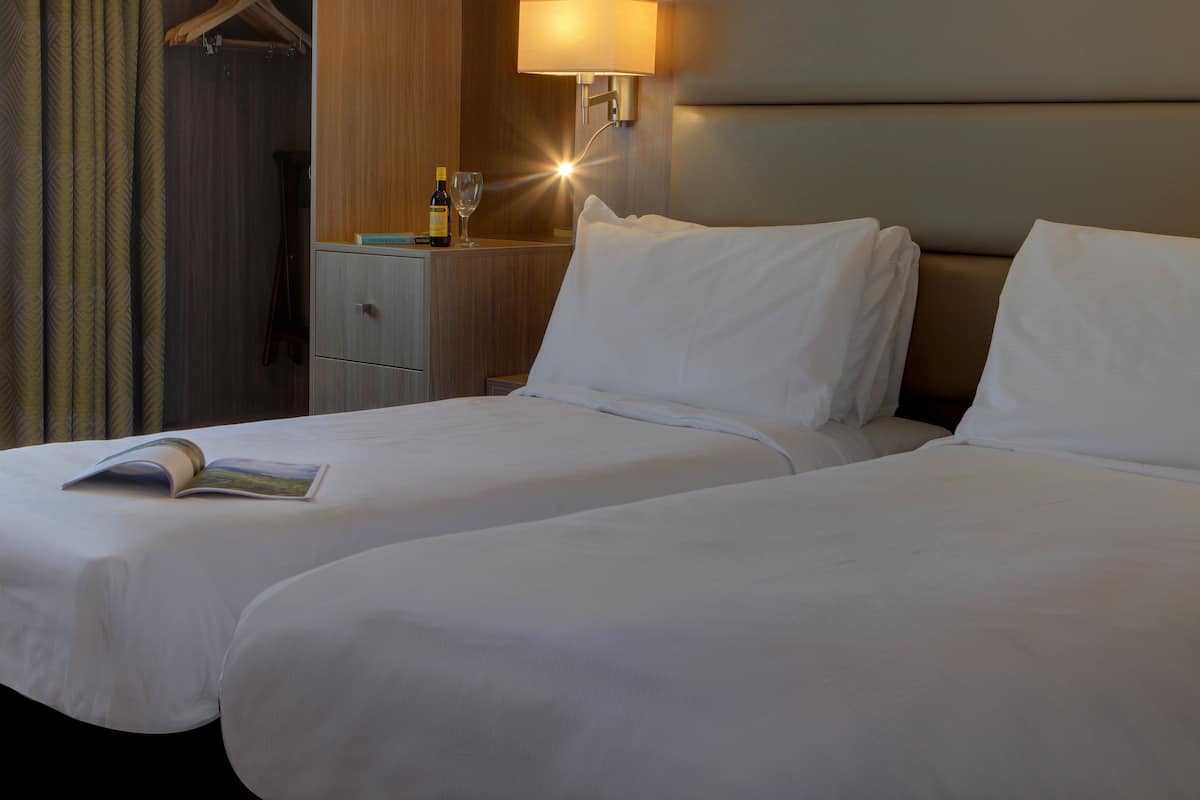 standard room, 2 single beds, accessible, non smoking | 1 bedroom, desk, laptop workspace, iron/ironing board