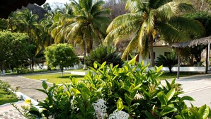 A lush garden with palm trees, a pathway, and a building with a thatched roof. - Hotel & Club Campestre Altos Paraiso (Villa de Tututepec de Melchor Ocampo)