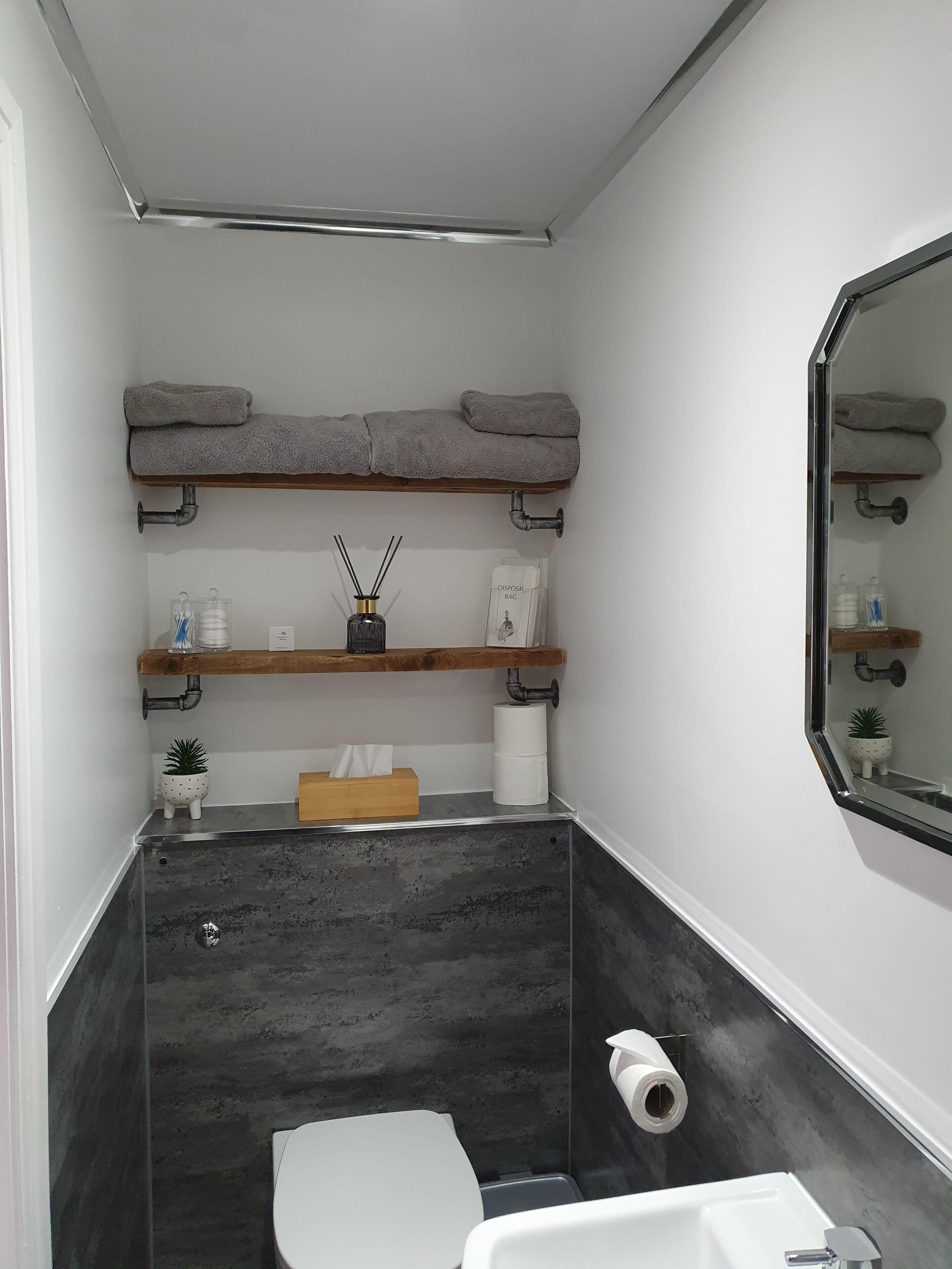 Une salle de bain moderne avec une douche, des toilettes et un miroir. On y trouve des serviettes sur une étagère, une petite plante et une boîte de mouchoirs.
