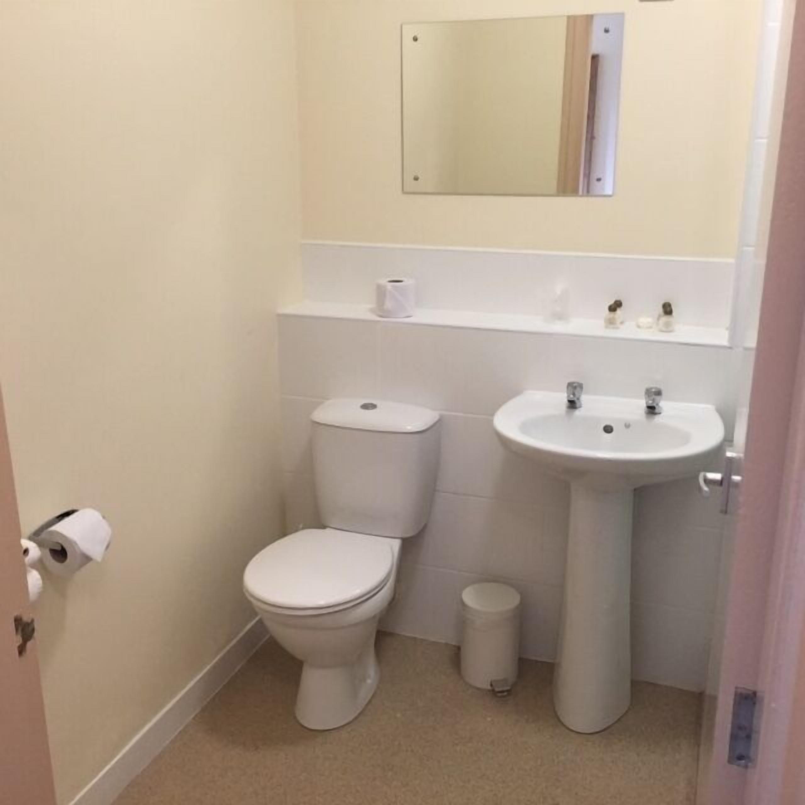 combined shower/bathtub, free toiletries, hair dryer, towels