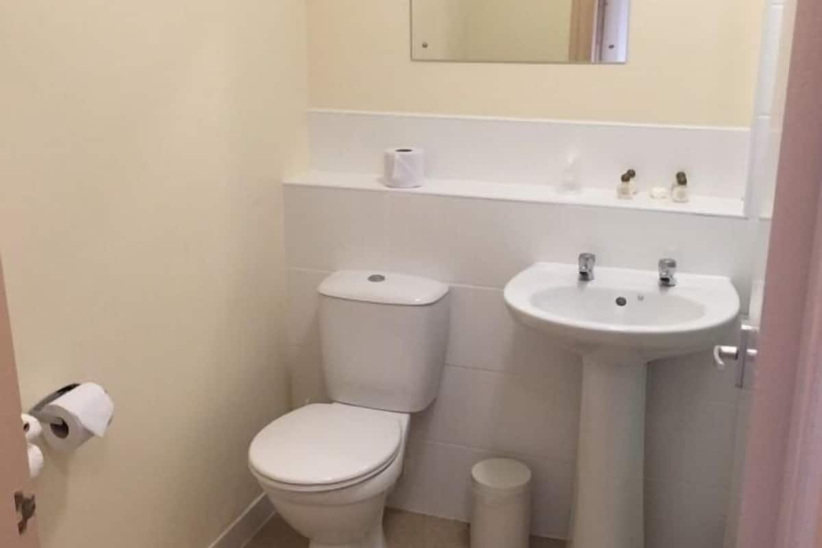 combined shower/bathtub, free toiletries, hair dryer, towels