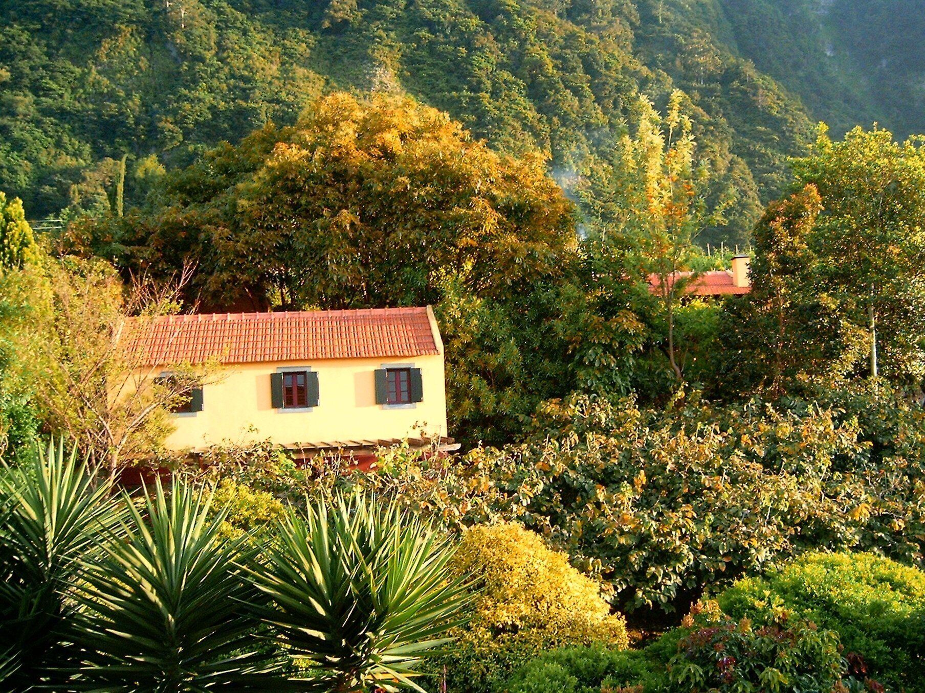 Ein Haus mit rotem Dach, umgeben von üppiger Vegetation und Bäumen.