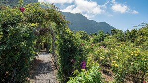 A garden pathway with a metal archway surrounded by lush greenery and flowering plants. - Pestana Quinta do Arco Nature & Rose Garden Hotel (Santana)