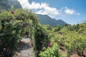 Jardín