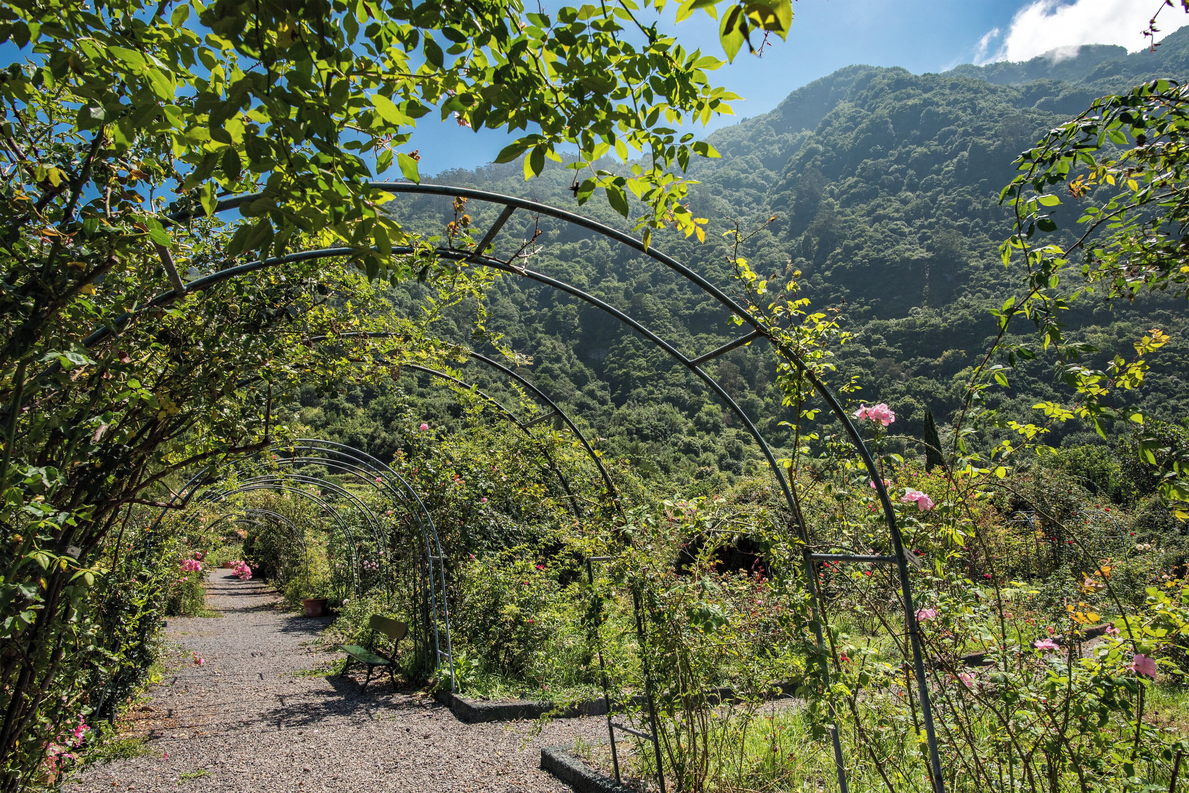 Photo - Pestana Quinta do Arco Nature & Rose Garden Hotel