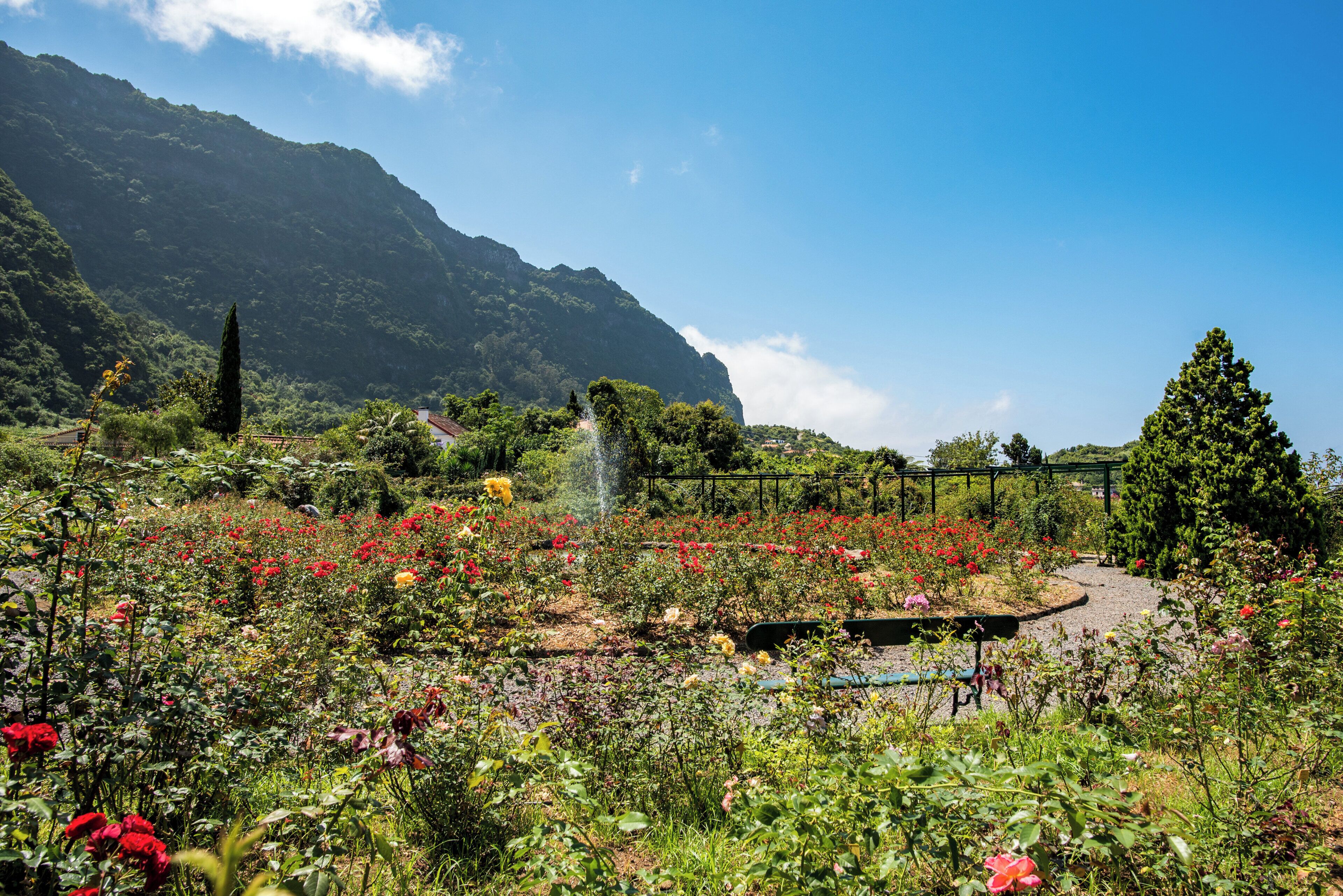 Photo - Pestana Quinta do Arco Nature & Rose Garden Hotel
