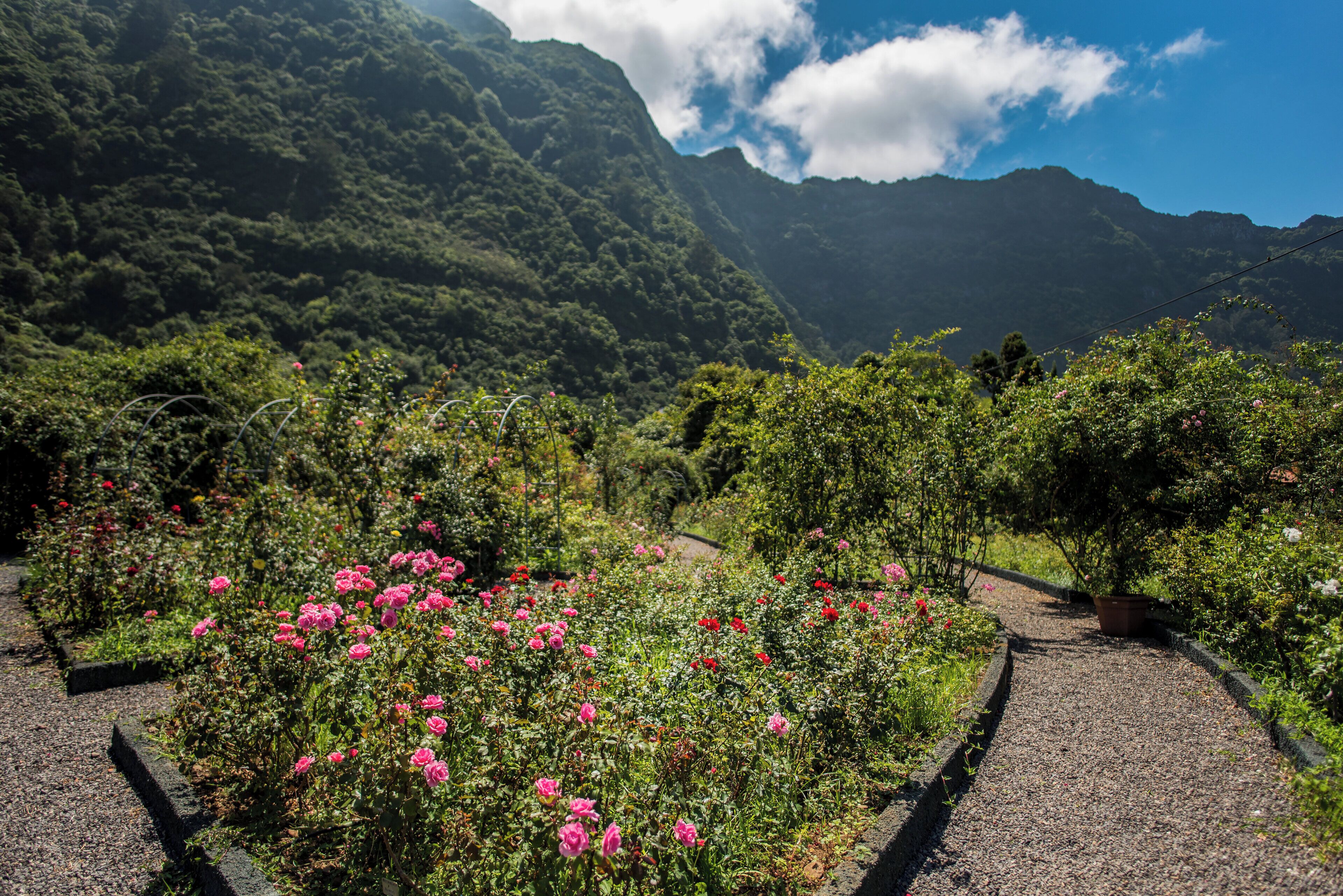 Un jardín con un sendero que lleva a una vista de la montaña.