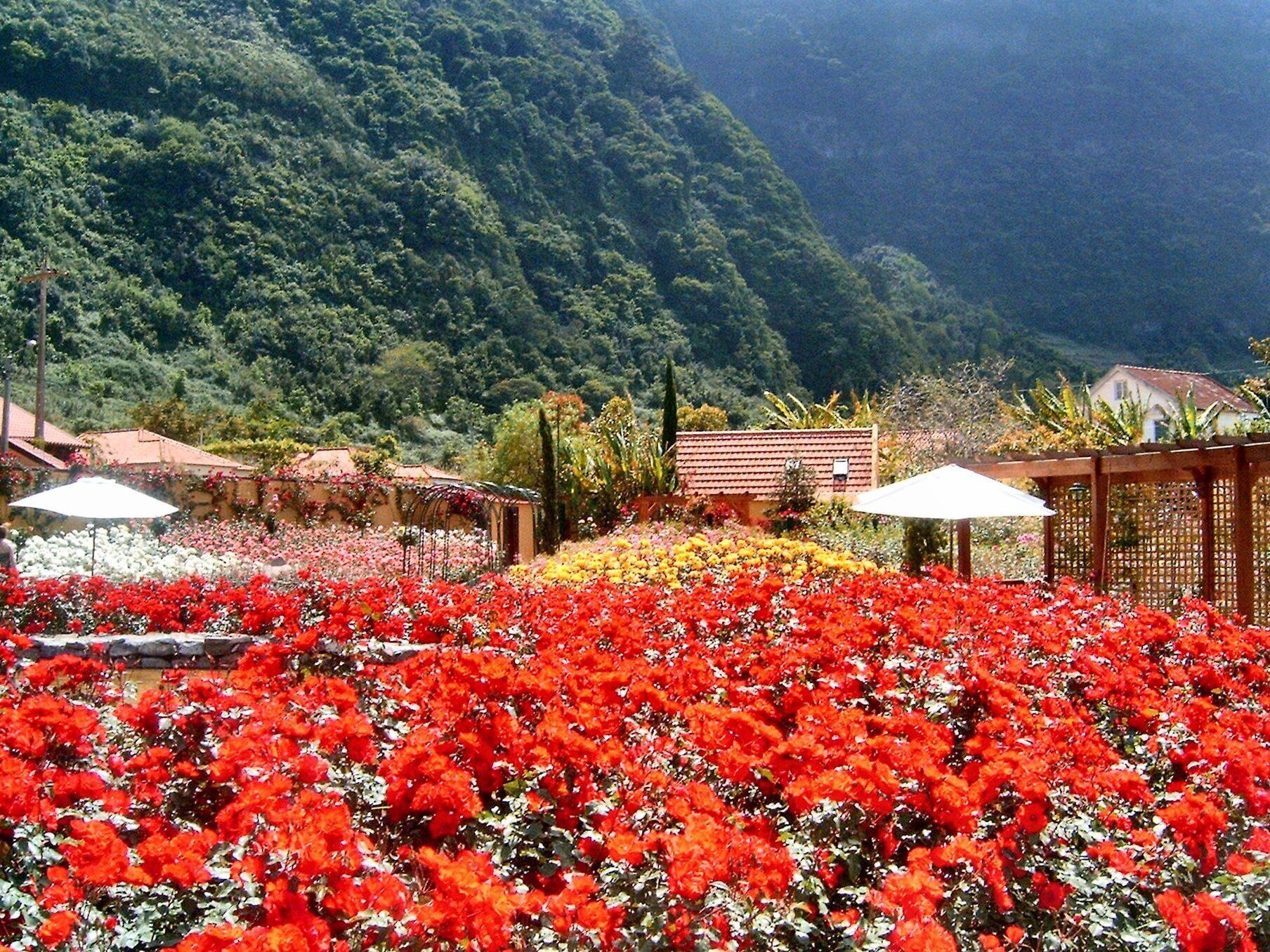Photo - Pestana Quinta do Arco Nature & Rose Garden Hotel