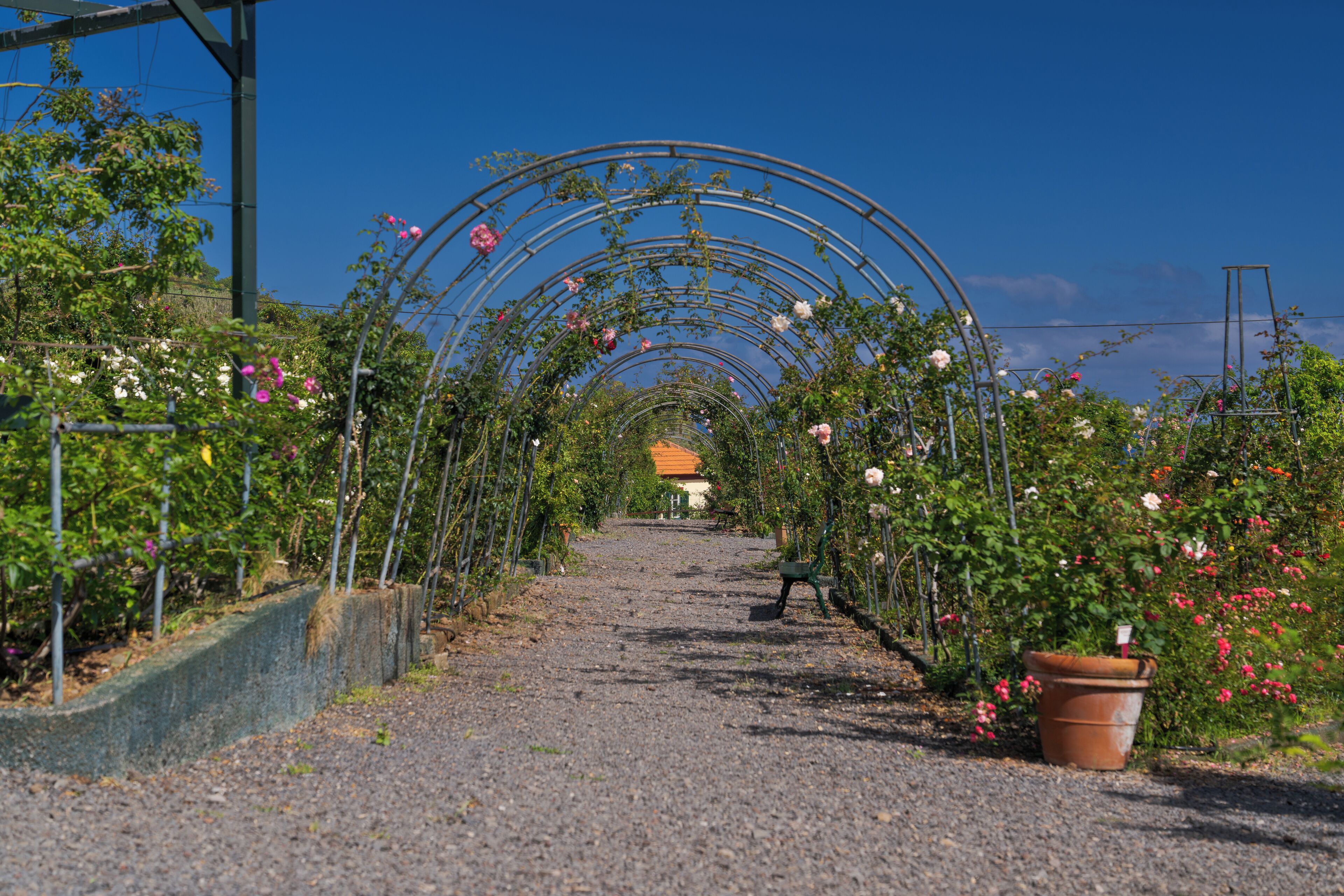 Foto - Pestana Quinta do Arco Nature & Rose Garden Hotel