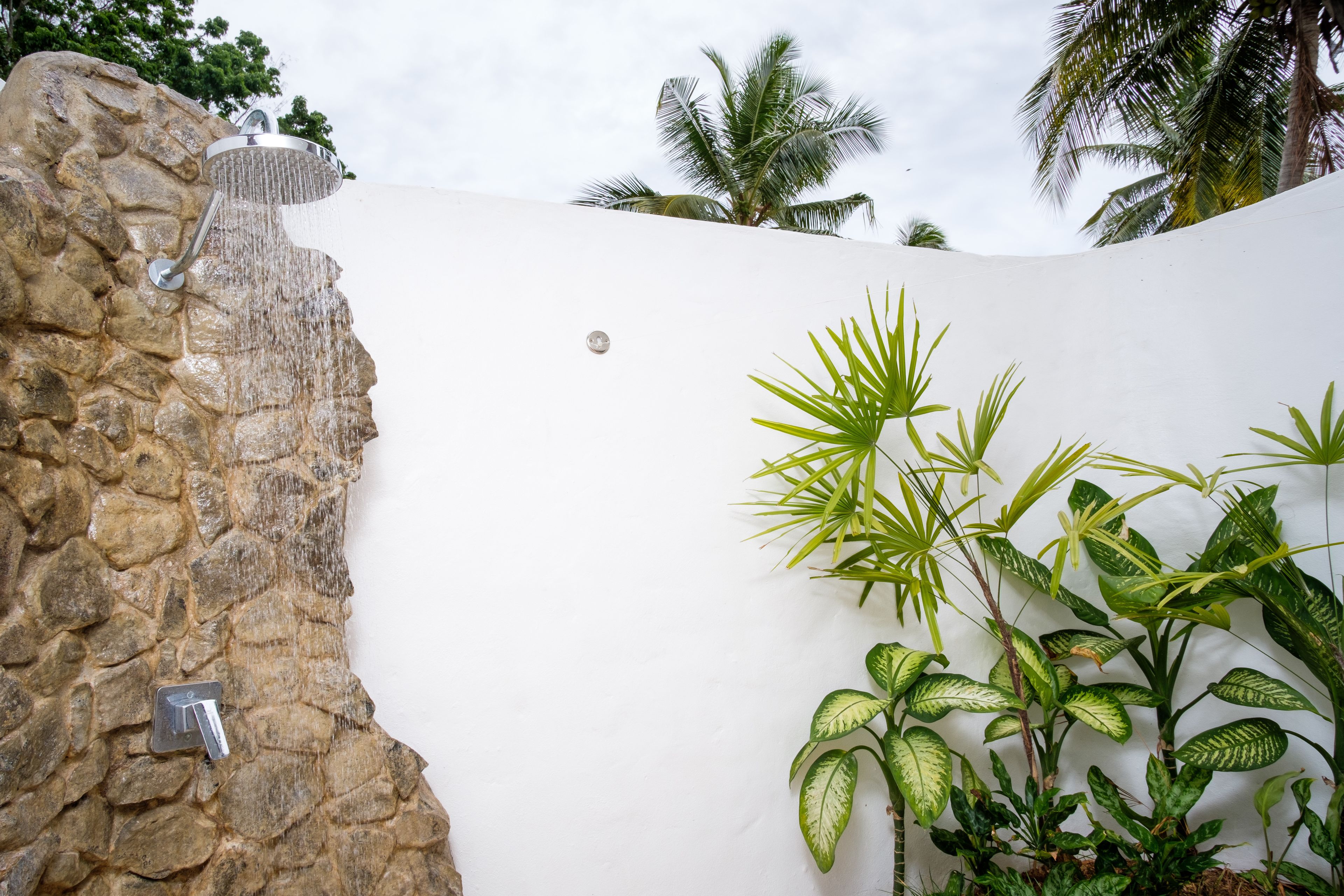 A stone wall with a showerhead, a white wall, and tropical plants.