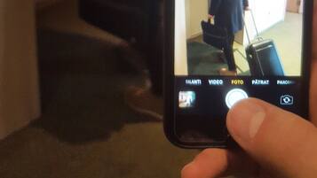 Una persona camina por un pasillo con una maleta, sosteniendo un teléfono inteligente que muestra un video de la escena.