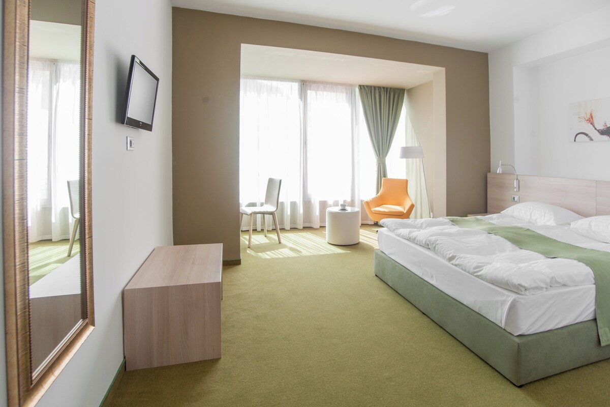 Una habitación de hotel con una cama, un escritorio, una silla y un espejo grande.