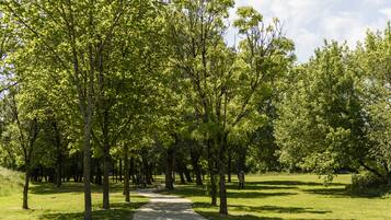 Udendørsområde