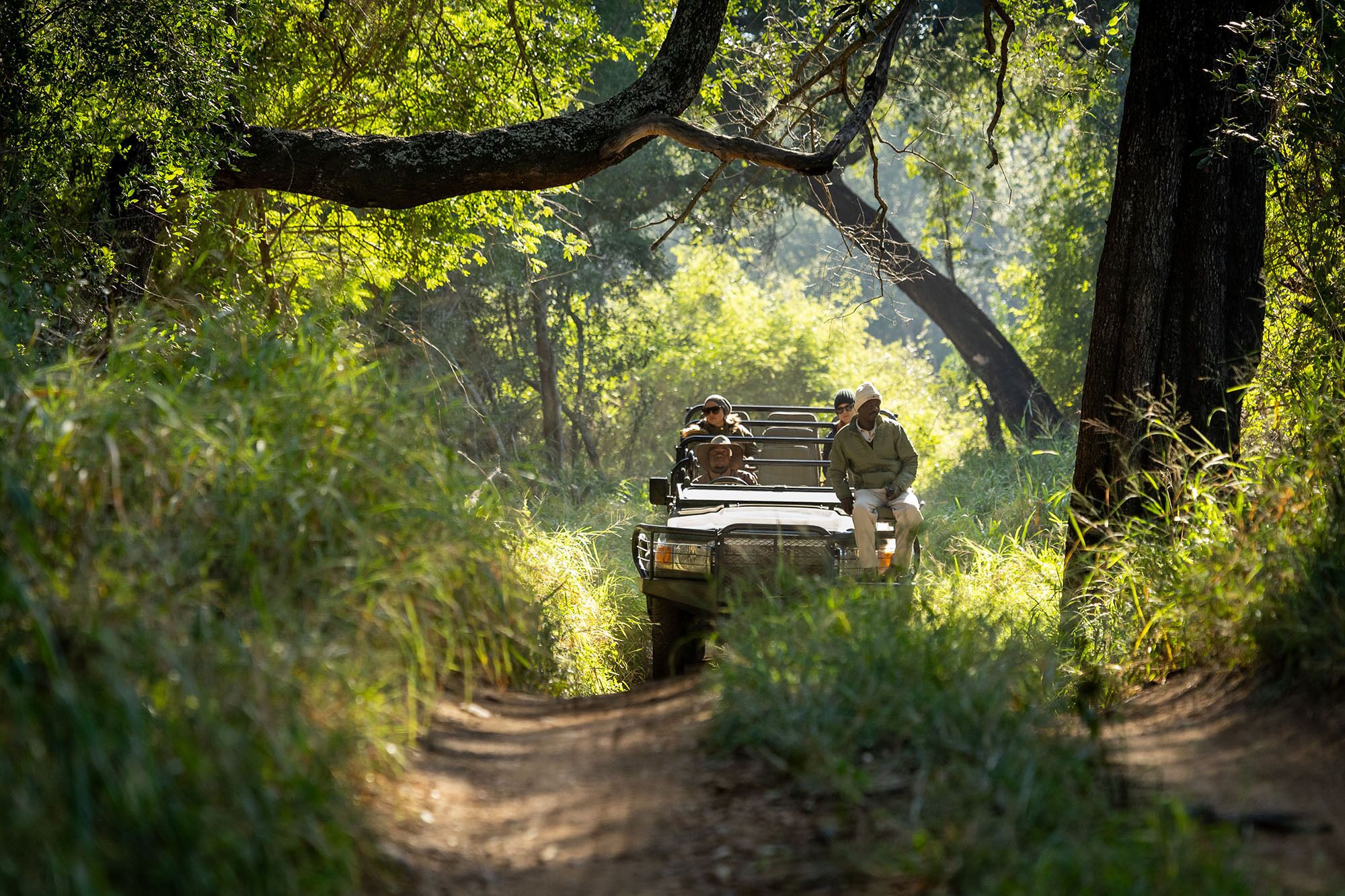 A vehicle navigating a forest path.