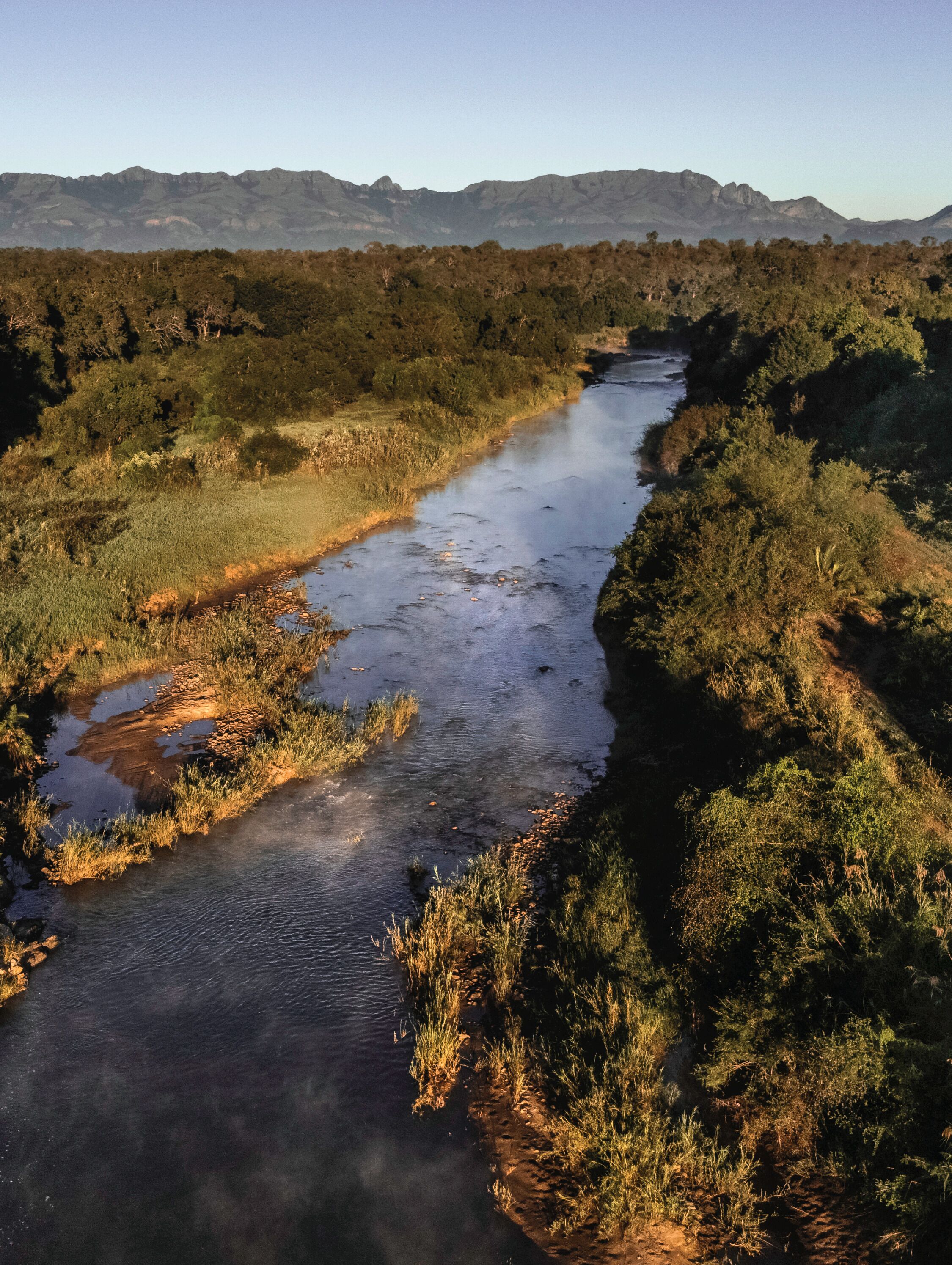 A river flowing through a natural landscape with dense vegetation and distant mountains.