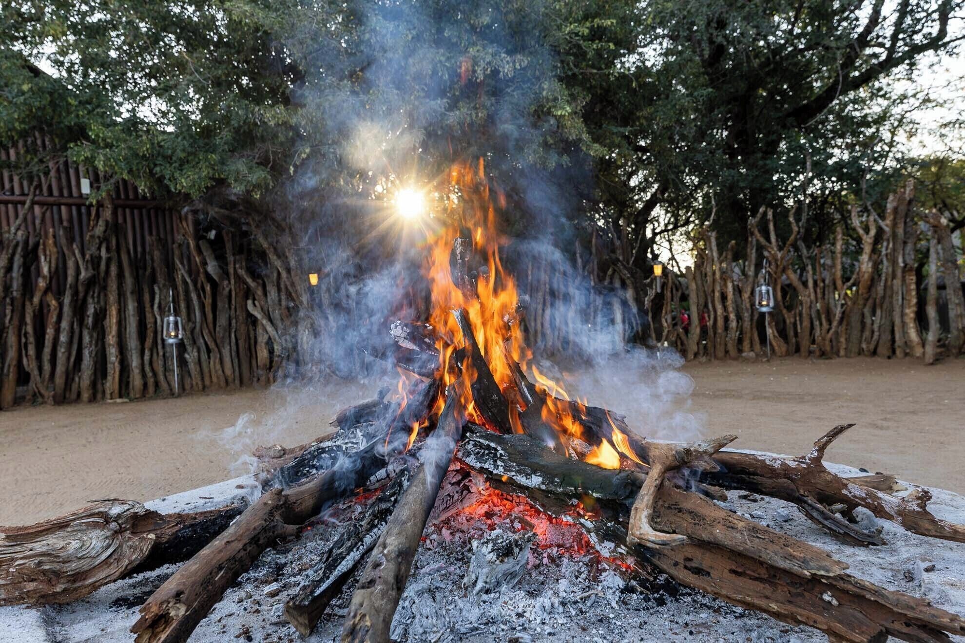 Una fogata con troncos y brasas encendidas, rodeada por un entorno natural con árboles y una cerca de madera.