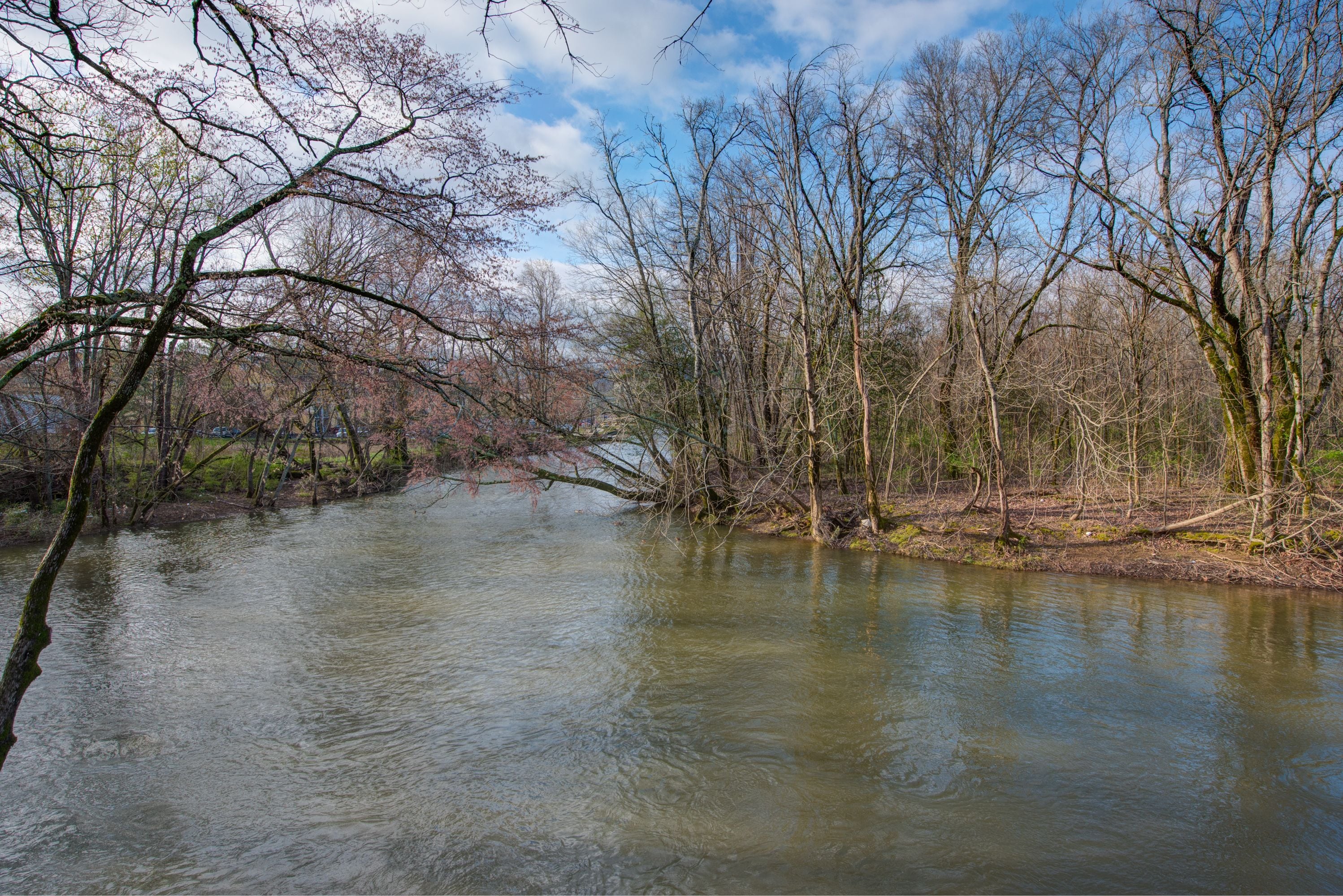 Une rivière bordée d’arbres des deux côtés, un ciel dégagé et une surface d’eau calme.