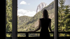 A silhouette of a person standing by a window overlooking a mountainous landscape with dense forest and a prominent rock formation.