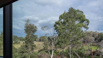 A view from a window overlooking a landscape with trees and a grassy field.