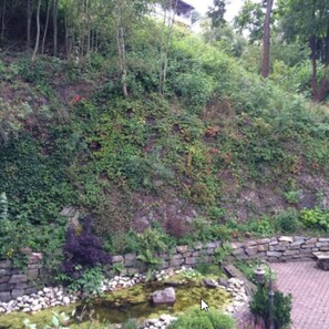 Vistas desde la habitación