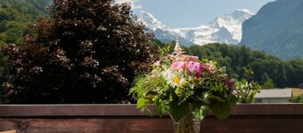 Jungfrau Hotel Annex Alpine Inn