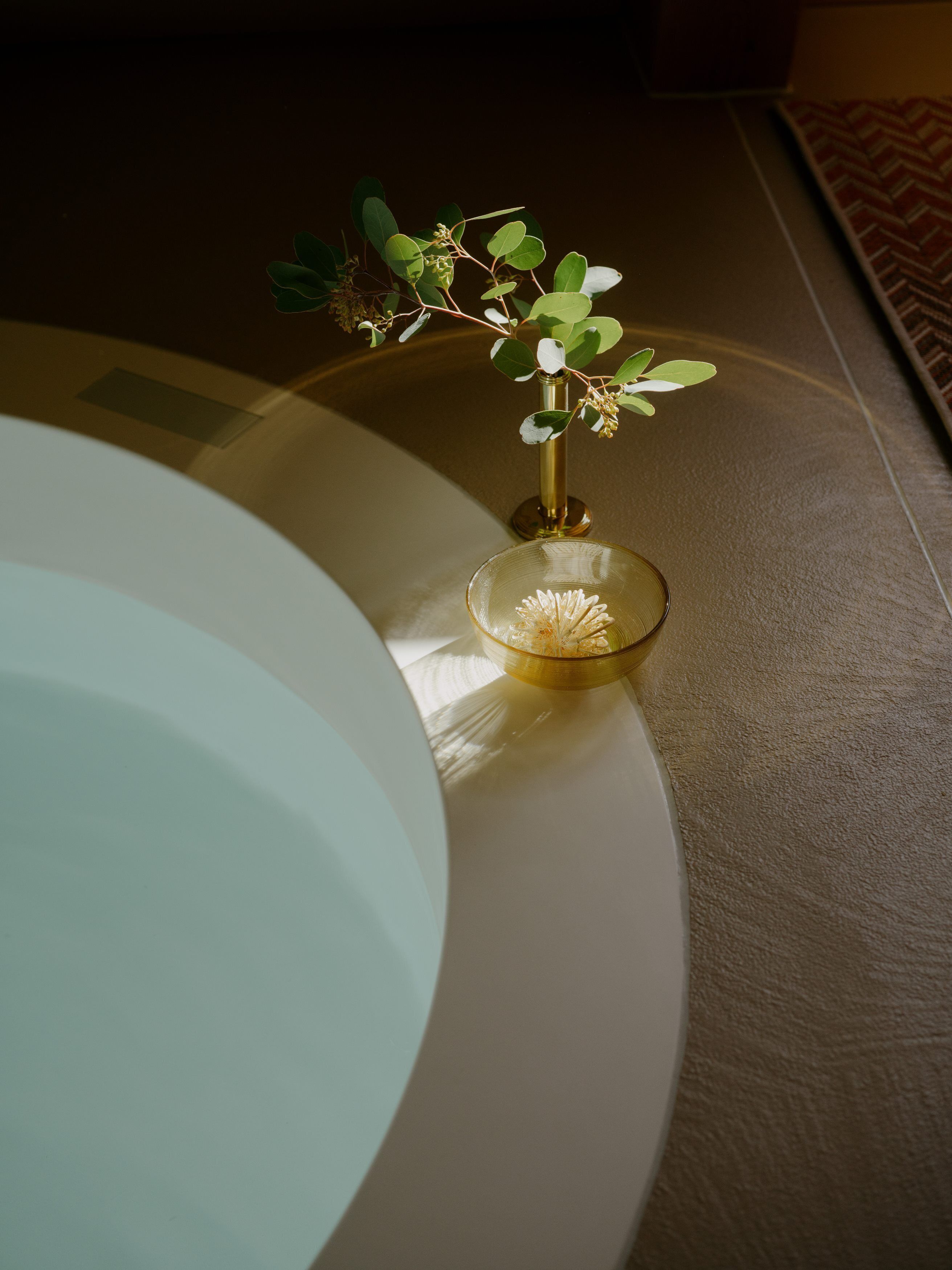 Een klein plantje in een glazen schaal op een tafel.
