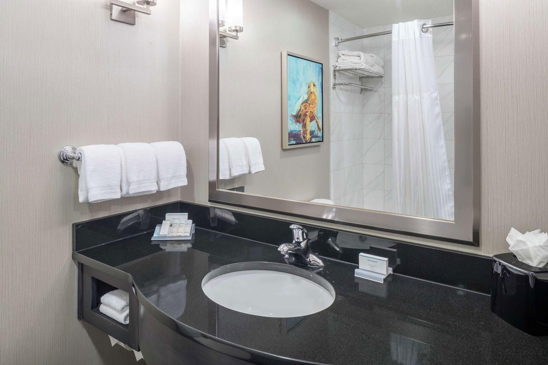Bathroom | Combined shower/bathtub, free toiletries, towels