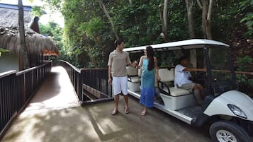 Ecotours