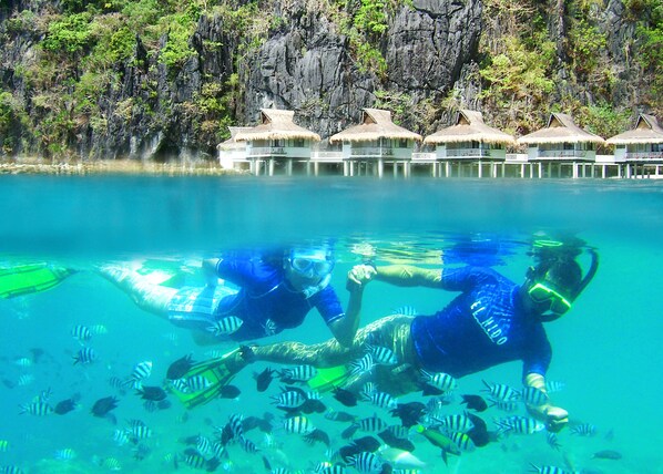 Underwater views of two divers with a coral reef and a row of thatched-roof bungalows in the background. - Pangulasian Island Resort (El Nido)