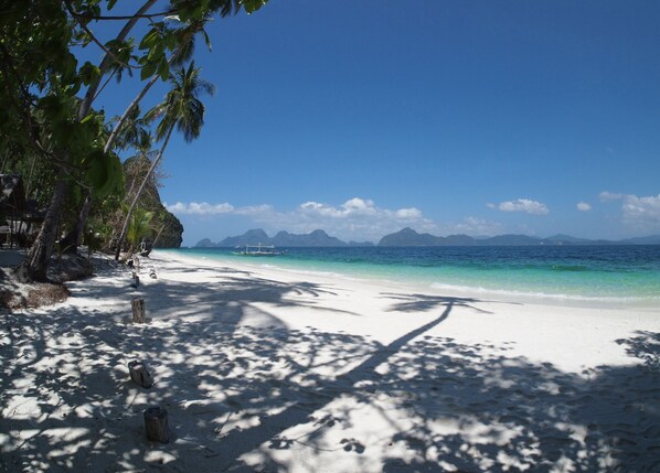 A beach with white sand, clear blue water, and palm trees.