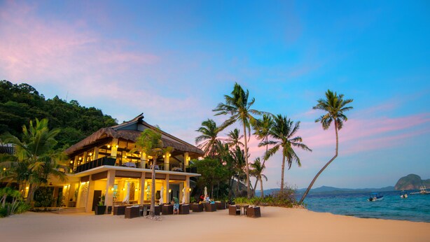 A beachfront resort with a thatched-roof building, palm trees, and a view of the ocean.