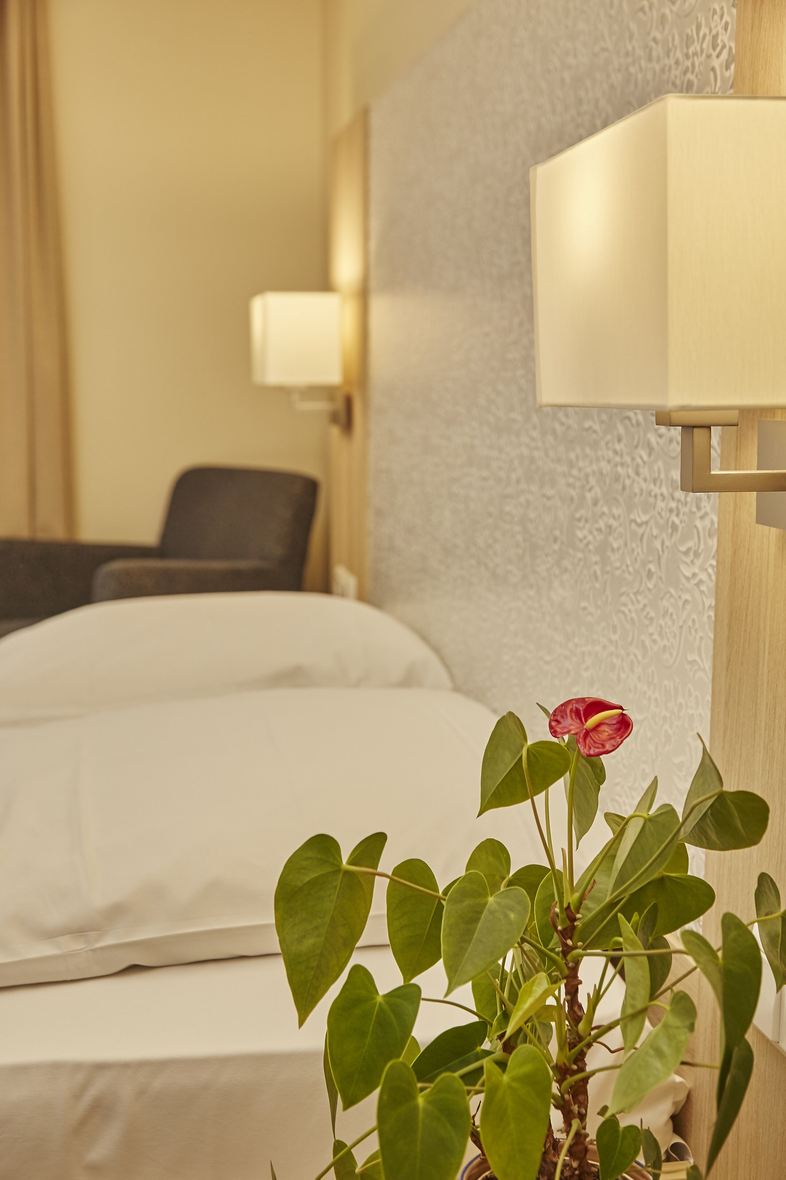 Une chambre d’hôtel avec un lit, une lampe de chevet, une chaise et une plante en pot ornée d’une seule fleur.