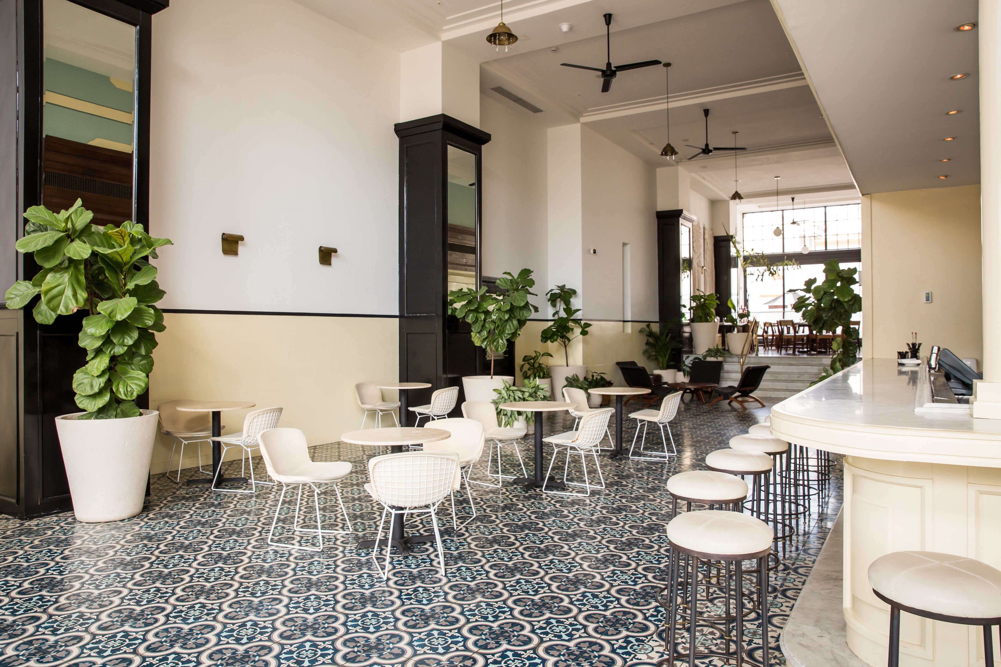 Amplio espacio interior con bar, diversas opciones de asientos y grandes plantas en macetas.